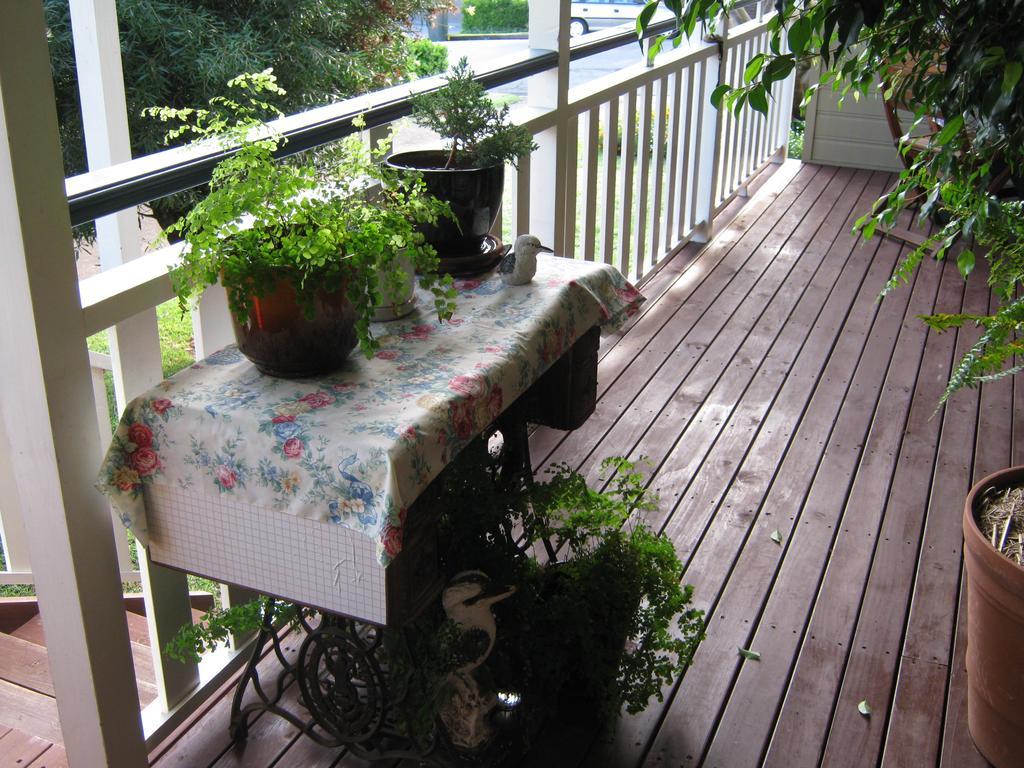 Newcastle'S Bed & Breakfast Eksteriør bilde